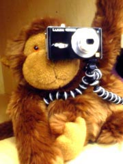 Get a gorilla to hold the camera